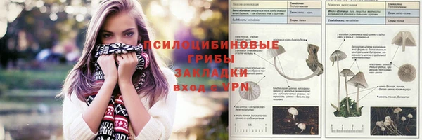 кокс Алексеевка