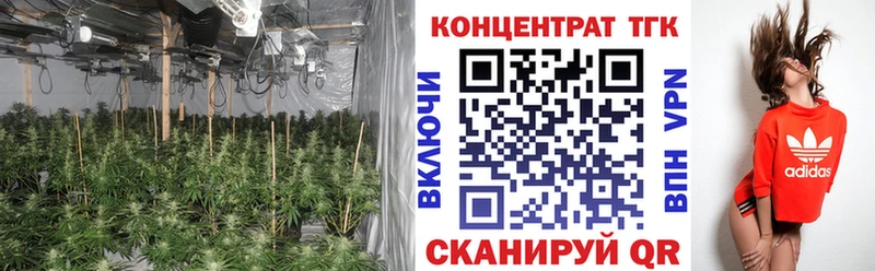 Дистиллят ТГК Wax мега вход Петровск хочу наркоту