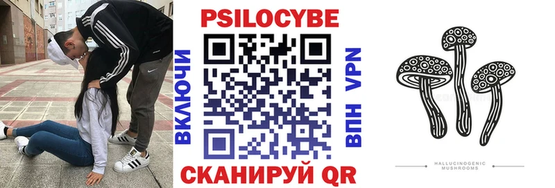 кракен ссылки  Петровск  Галлюциногенные грибы GOLDEN TEACHER 